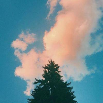 澳门2023全年免费资料大全